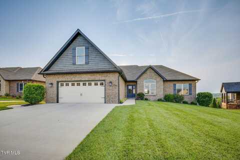 1132 Panoramic Vista, Gray, TN 37615