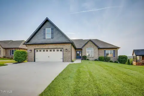 1132 Panoramic Vista, Gray, TN 37615