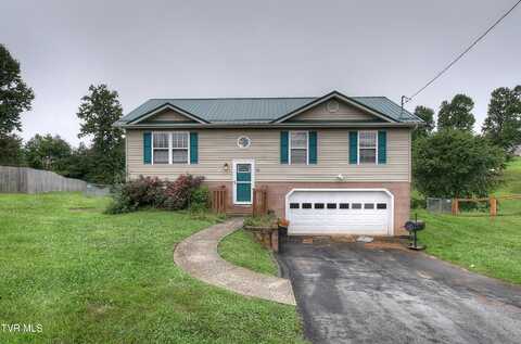 32 Mockingbird Court, Jonesborough, TN 37659