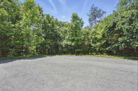 2064 Scenic Pointe Place, Church Hill, TN 37642