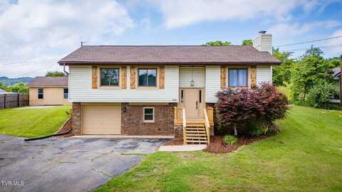 480 Old Hickory Circle, Mount Carmel, TN 37645