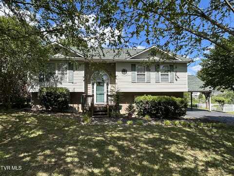 115 Butterfly Court, Limestone, TN 37681