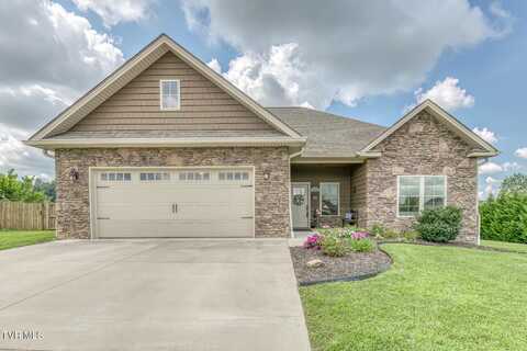 110 Rhetts Way, Jonesborough, TN 37659