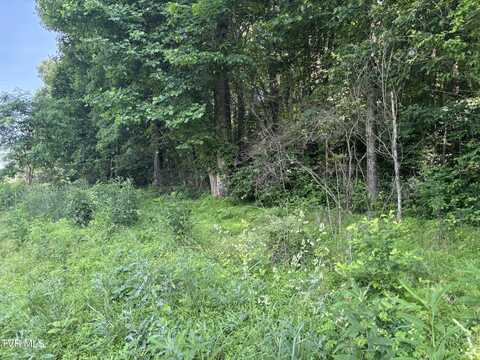 Tbd Reedy Creek Rd, Abingdon, VA 24210