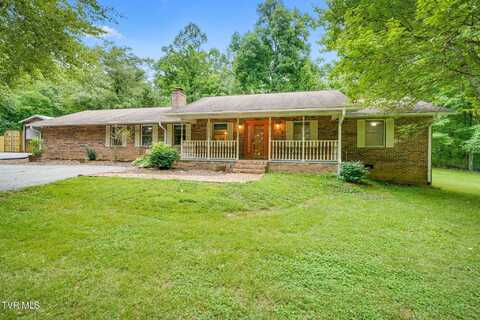 631 Bowmantown Road, Telford, TN 37690