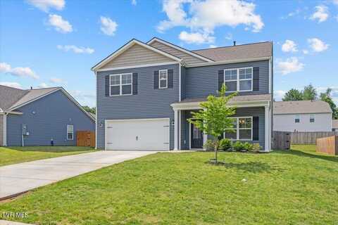 1130 Raccoon Lane, Piney Flats, TN 37686