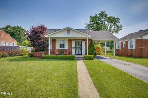 1532 Pineola Avenue, Kingsport, TN 37664