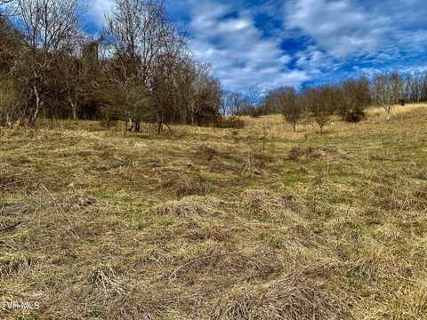 0 Wndy Drive, Marion, VA 24354