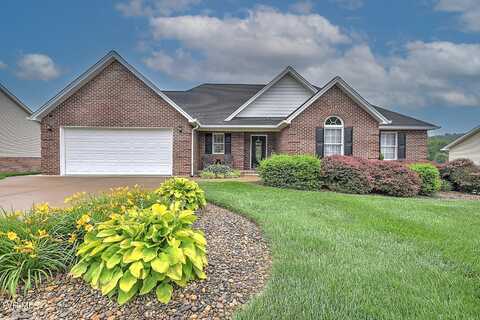191 Sunnyfield Drive, Blountville, TN 37617