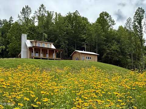 538 Punkton Road, Del Rio, TN 37727