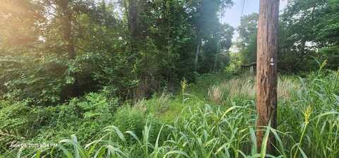 Blackberry Rd, CAMDEN, TN 38320