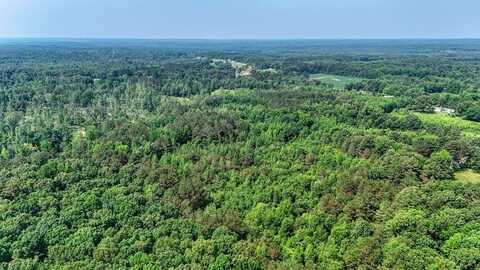 Hardin Graveyard Rd/Leapwood Enville Road, ADAMSVILLE, TN 38310