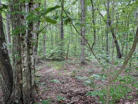 Lot 28 Lollar Drive, MONTEREY, TN 38574
