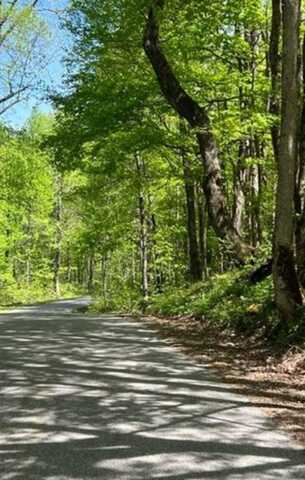 95.43 Sheep Bluff Road, COOKEVILLE, TN 38506