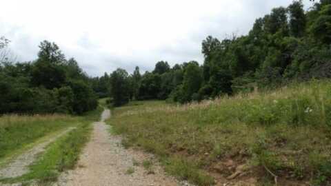 51.30ac Livingston Hwy, Byrdstown, TN 38549