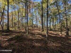 239 Sewell Dr, Allardt, TN 38504