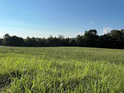 Lot 26 Amonett Circle, Byrdstown, TN 38549