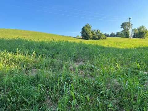 Lot 20 Amonett Circle, Byrdstown, TN 38549