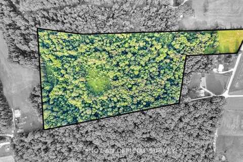 19.267ac Wildcat Road, SPARTA, TN 38583
