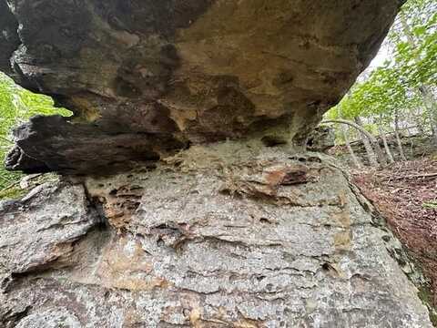 lot 160 Big Piney Loop, WILDER, TN 38589