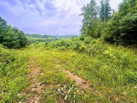 13.44 Ac Chestnut Ridge Rd, Allardt, TN 38504