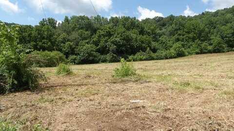 5.6ac Lonnie Reese Rd, Celina, TN 38551