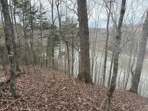 6.49 AC Garrett Town Ln, MONROE, TN 38573