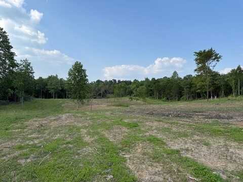 Roy Foster Rd., McMinnville, TN 37110