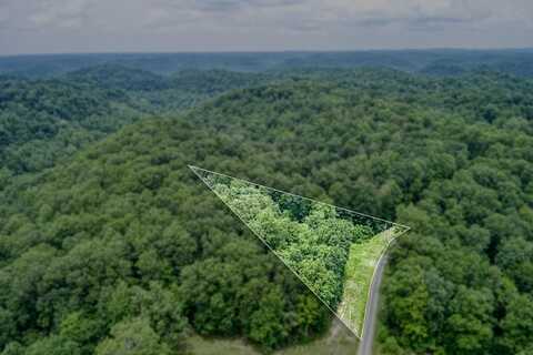 3.12 AC Twin Oak Lane, GAINESBORO, TN 38562