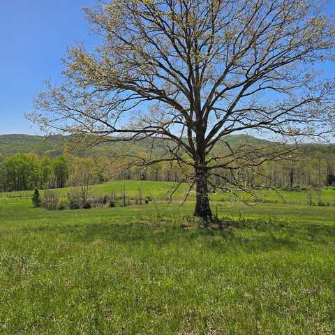 559 Pleasant Shade Lane, MONTEREY, TN 38574