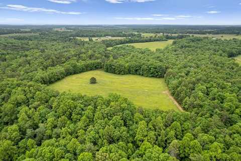 Standing Rock Rd, Deer Lodge, TN 37726