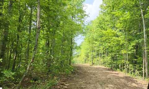 Tract 12 Higby Pvt Road, Robbins, TN 37852