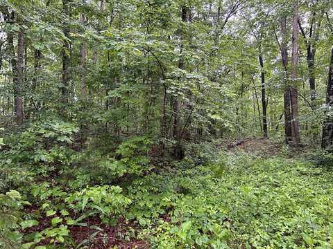 n/a Panther Branch Road, Jamestown, TN 38556