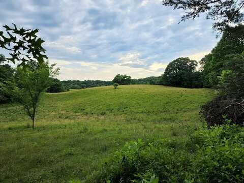 33.64 ac Davis Rd, LIVINGSTON, TN 38570