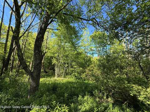 383 Ferndale Loomis Road, Liberty, NY 12754
