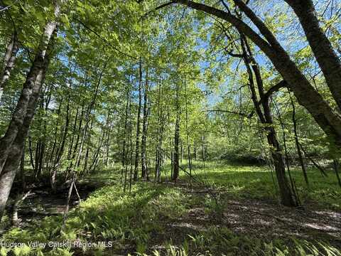383 Ferndale Loomis Road, Liberty, NY 12754