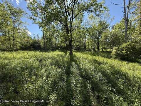 383 Ferndale Loomis Road, Liberty, NY 12754