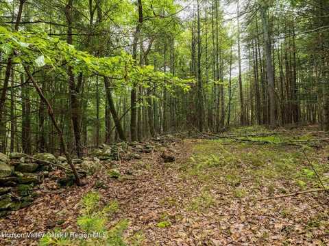 0 Lot 1 Church Road, Woodstock, NY 12409