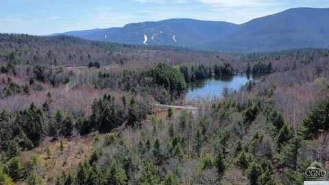 Ford Hill Road, Jewett, NY 12444