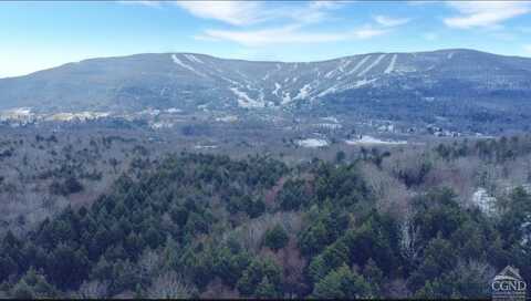0 Homestead Lane, Windham, NY 12496