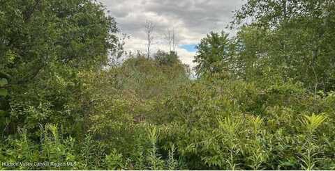0 E Hawley Lane, New Baltimore, NY 12124
