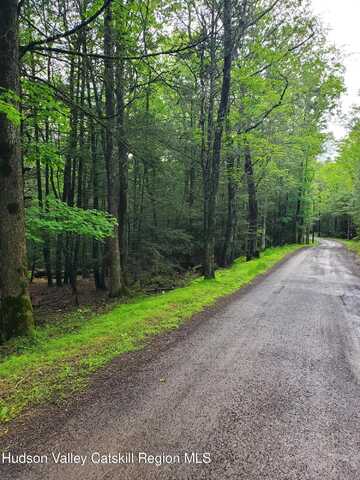 Schroon Hill Road, Kerhonkson, NY 12446