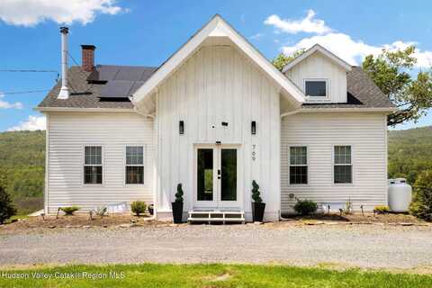 769 Mitchell Hollow Road, Windham, NY 12496