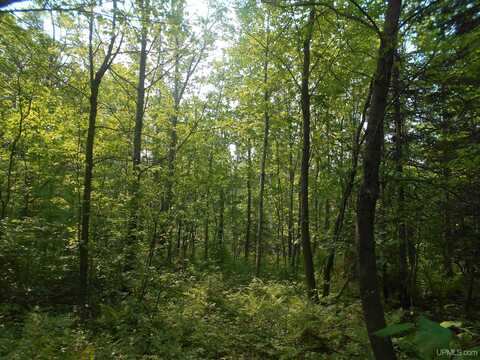 TBD Oikarinen, Hancock, MI 49931