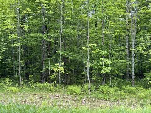 TBD Dog Patch, L'anse, MI 49946