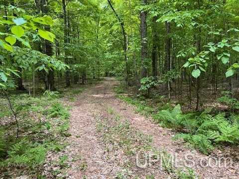 20.99 Acres Old J, Silver Cliff T-WI, WI 54104
