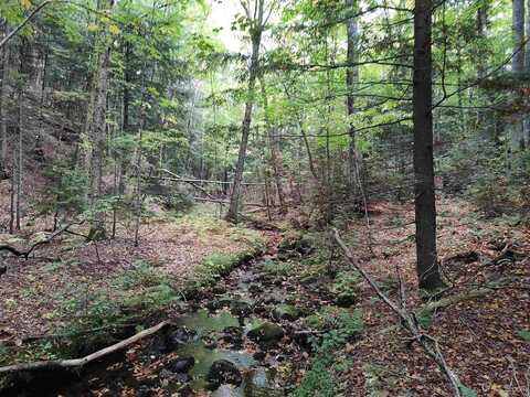 80 Acres Lost Creek, Marquette, MI 49855