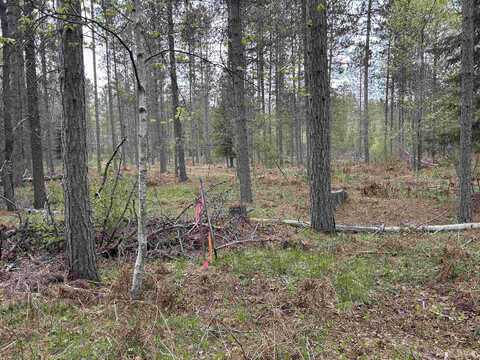 TBD Parcel 1 Paint River, Crystal Falls, MI 49920