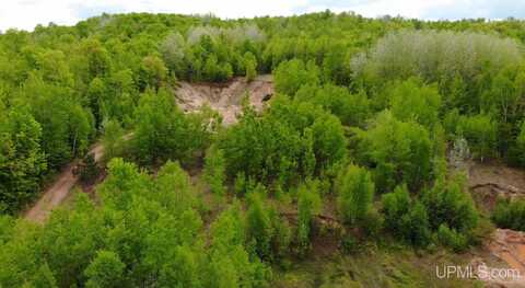 TBD 1 Section Line, Trout Creek, MI 49967