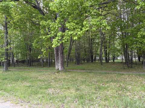 Lot 392,393 Tipperary, Gladstone, MI 49837